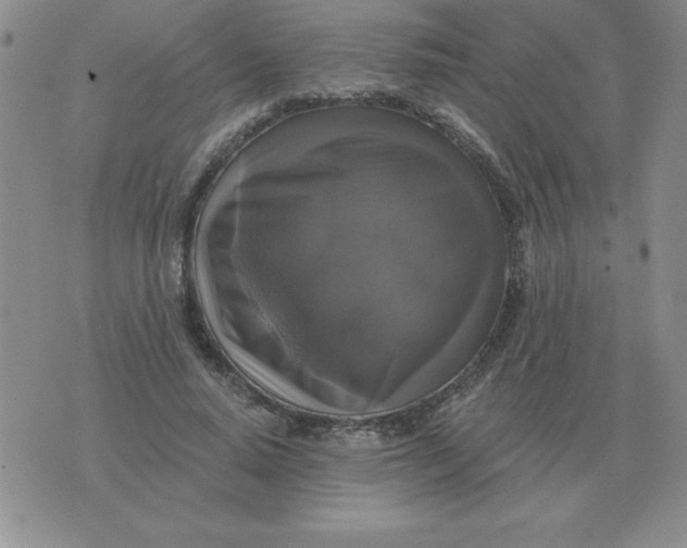 X0000076080640200610152254