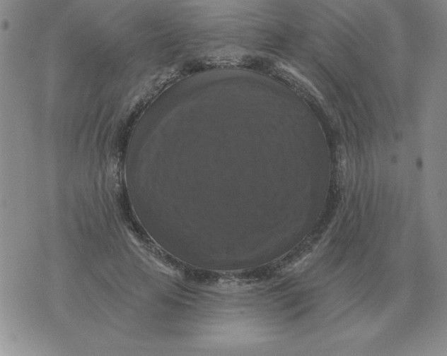 X0000076080641200610152254