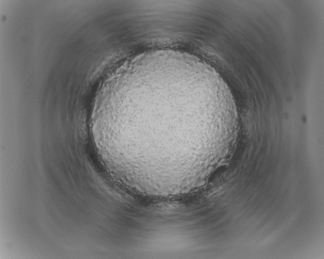 X0000076080642200610152254