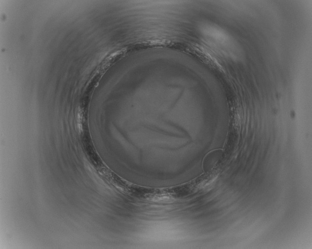 X0000076080643200610152254