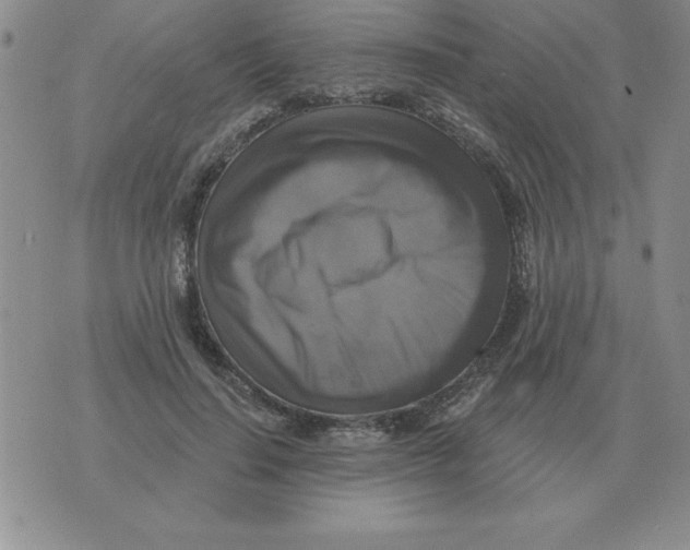 X0000076080644200610152254