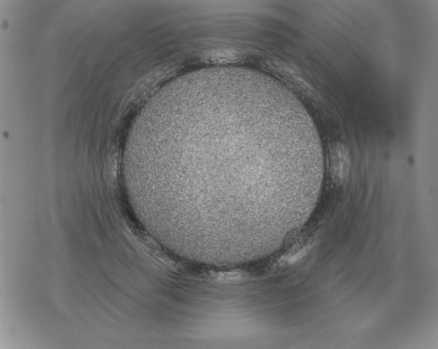 X0000076080645200610152254