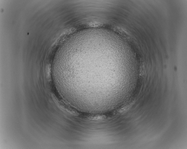 X0000076080646200610152254