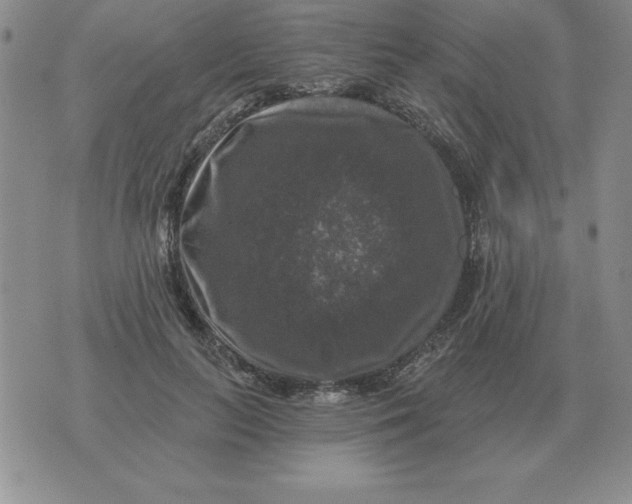 X0000076080647200610152254