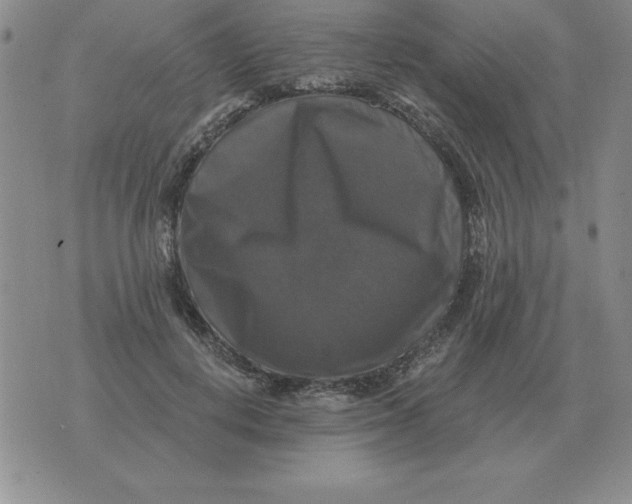 X0000076080648200610152254