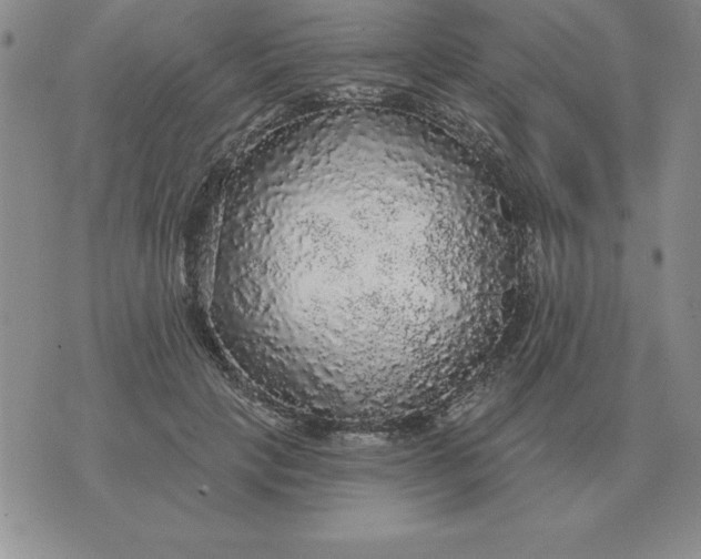 X0000076080649200610152254