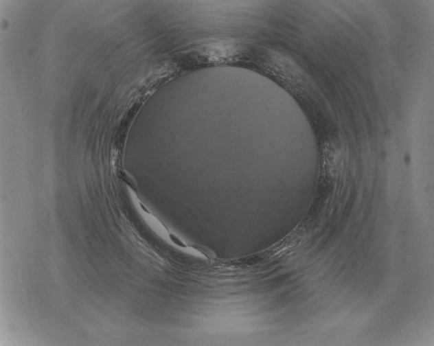 X0000076080650200610152254