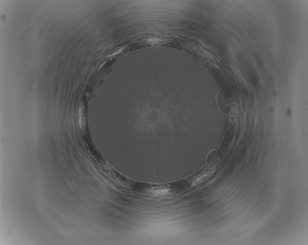 X0000076080651200610152254