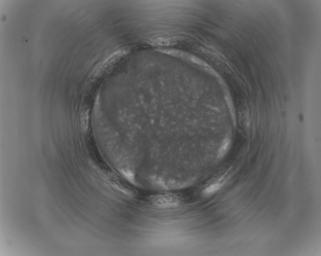 X0000076080652200610152254