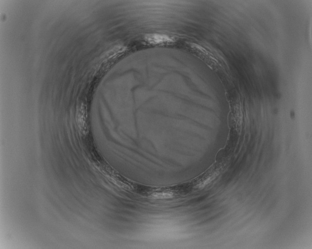 X0000076080653200610152254