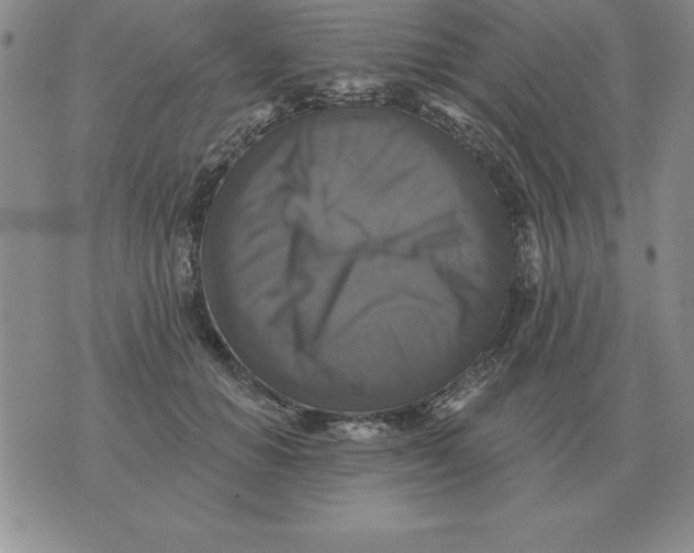 X0000076080654200610152254