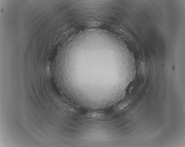 X0000076080655200610152254