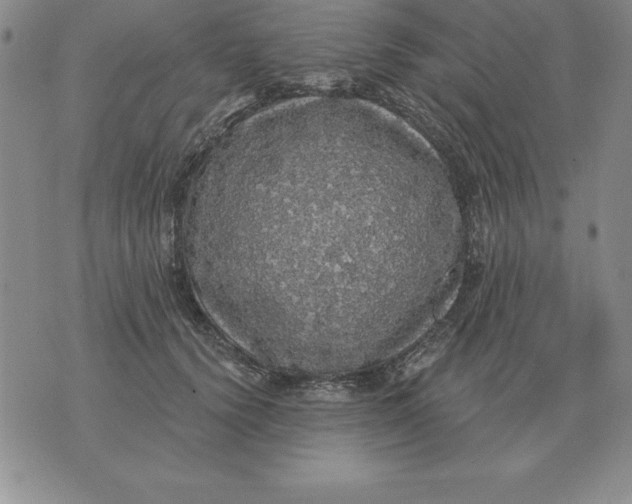 X0000076080656200610152254