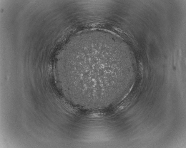 X0000076080657200610152254