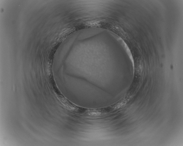 X0000076080658200610152254