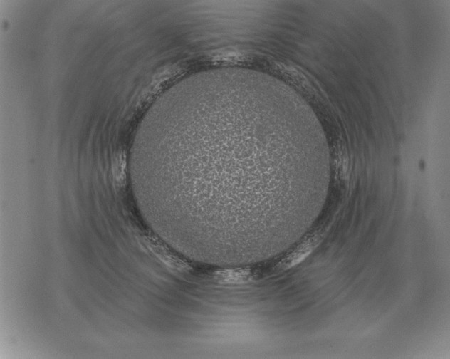 X0000076080660200610152254