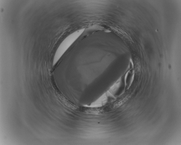 X0000076080661200610152254