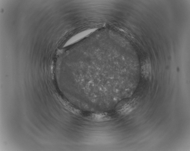 X0000076080662200610152254