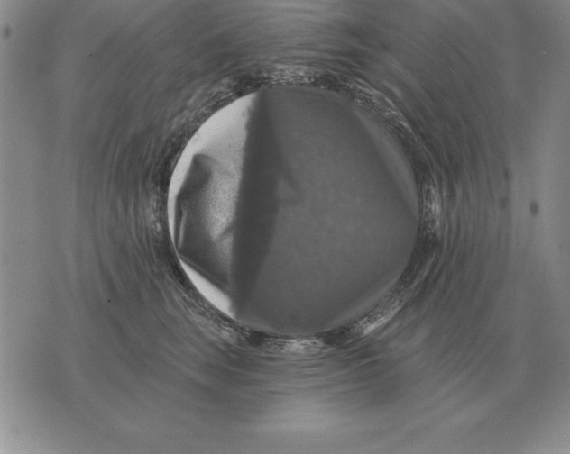 X0000076080663200610152254