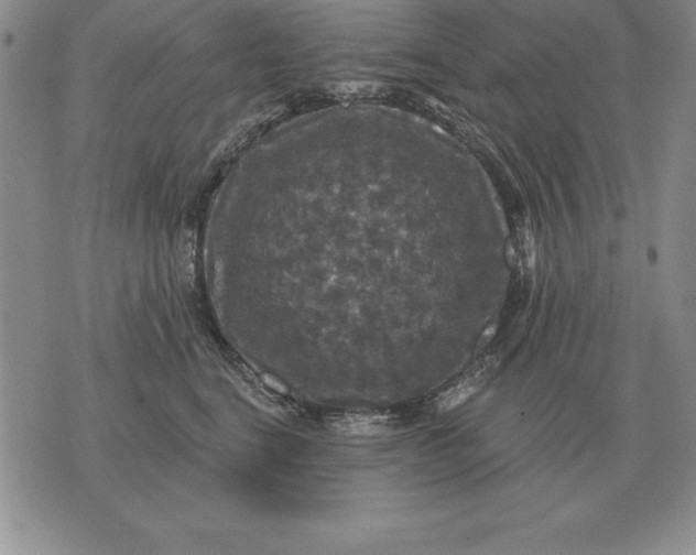 X0000076080664200610152254