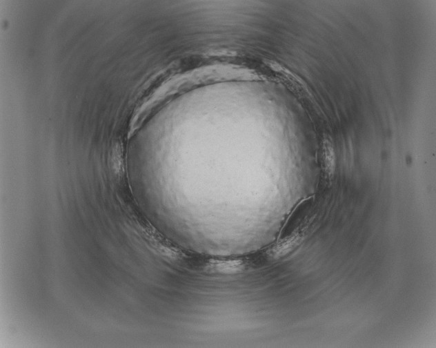 X0000076080665200610152254