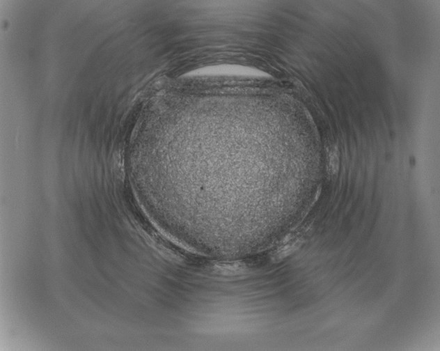 X0000076080666200610152254