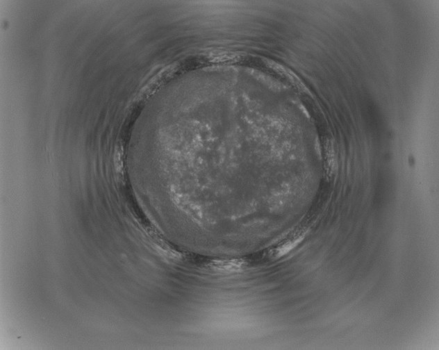 X0000076080667200610152254