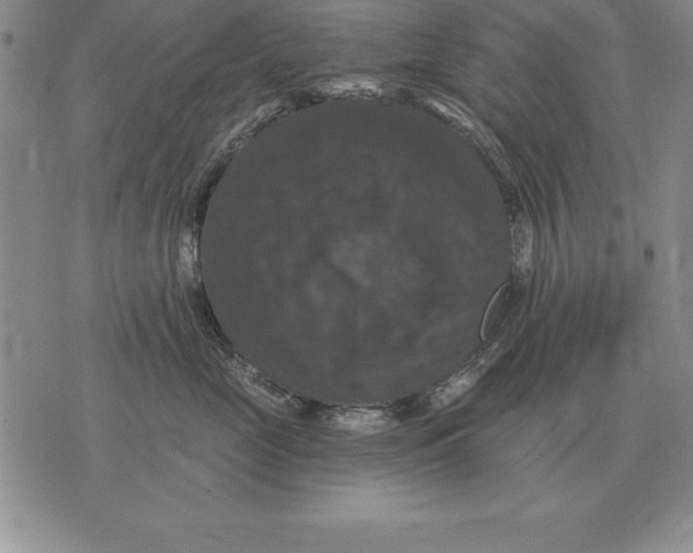 X0000076080669200610152254