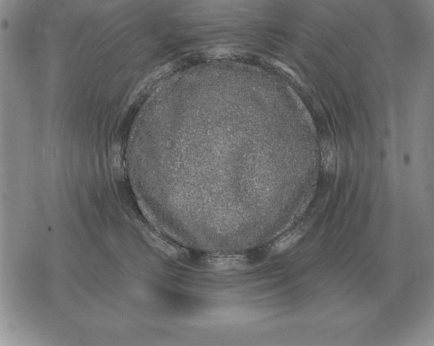 X0000076080670200610152254