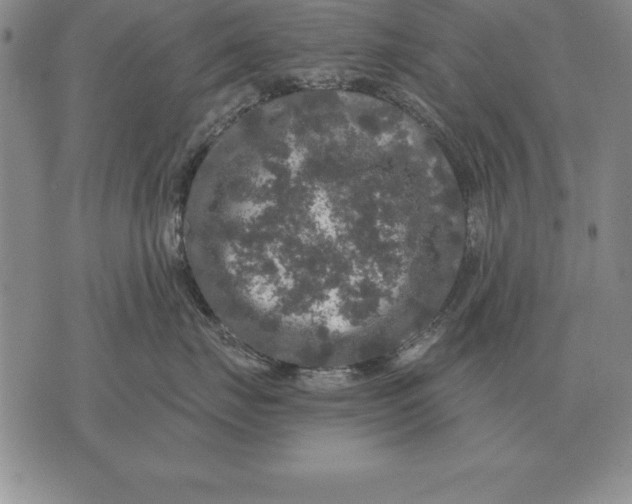 X0000076080671200610152254