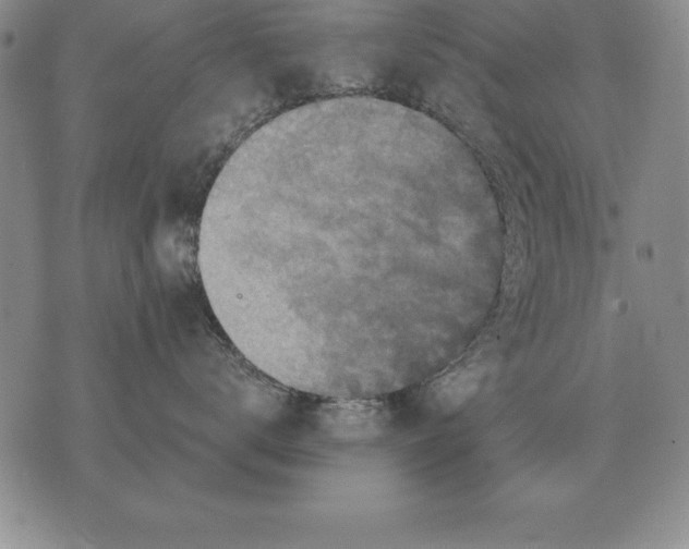 X0000076080672200610152254