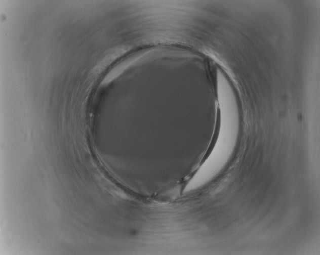 X0000076080673200610152253