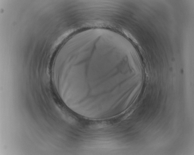 X0000076080674200610152253