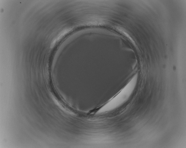 X0000076080677200610152253