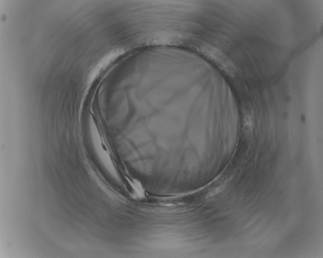 X0000076080678200610152253