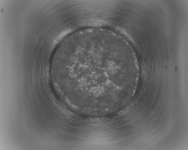 X0000076080679200610152253