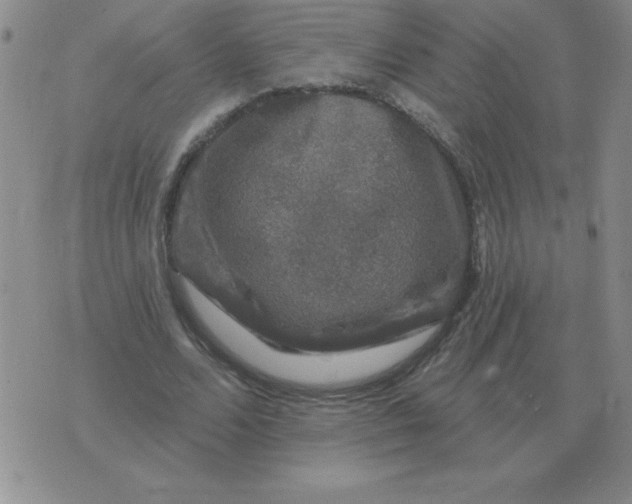 X0000076080680200610152253