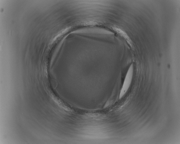 X0000076080681200610152253