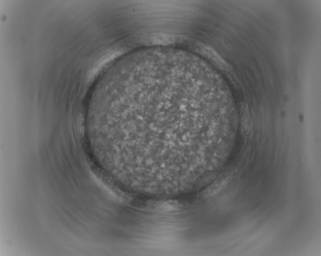 X0000076080683200610152253