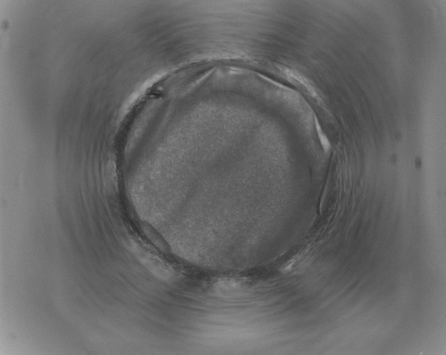 X0000076080684200610152253