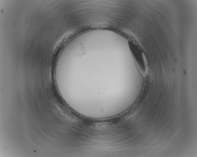 X0000076080686200610152253