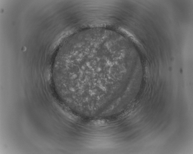 X0000076080687200610152253