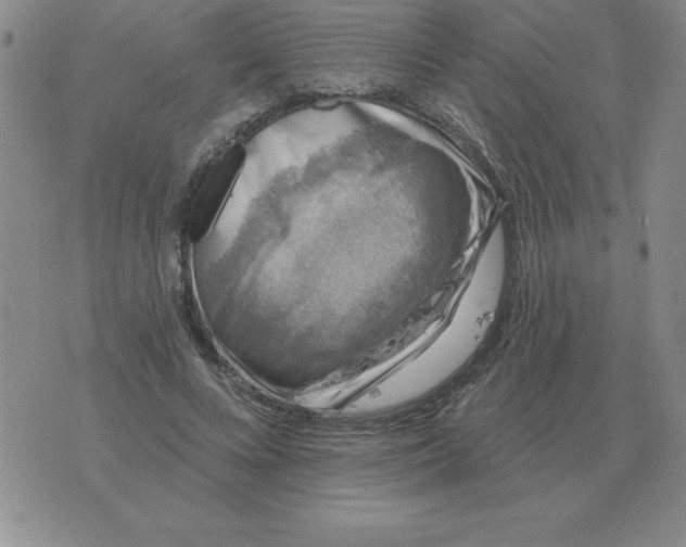 X0000076080688200610152253