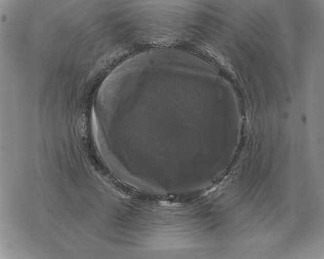 X0000076080689200610152253