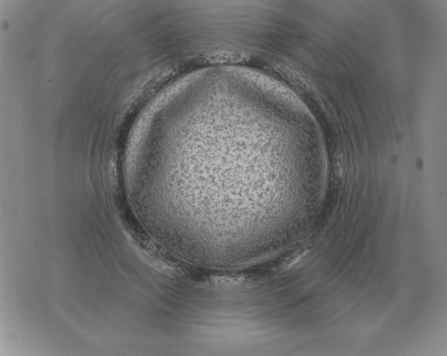 X0000076080690200610152253