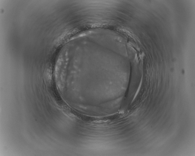 X0000076080691200610152253