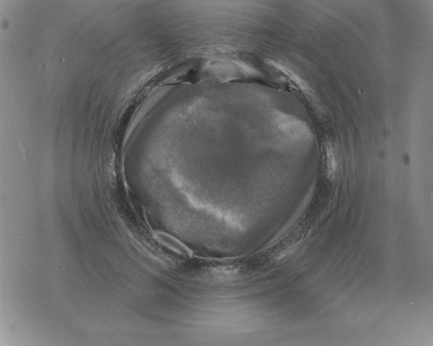 X0000076080692200610152253