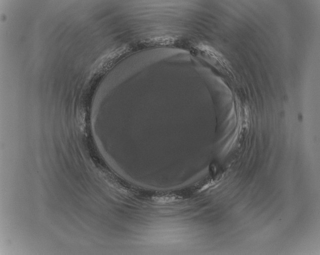 X0000076080693200610152253