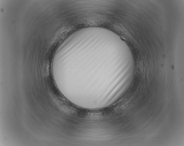 X0000076080694200610152253