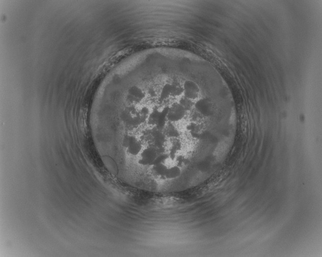 X0000076080695200610152253